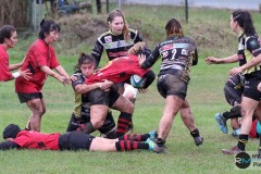 news_2019-11-05_femminile_calvisano-romagna