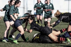 Foto di Filippo Venturi