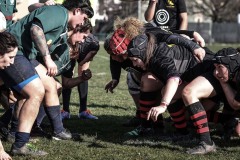 Foto di Filippo Venturi