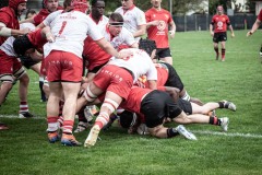 photogallery-2022-23_seriea_Romagna-RFC-Rugby-Vicenza_IMG_5183