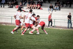 photogallery-2022-23_seriea_Romagna-RFC-Rugby-Vicenza_IMG_5309