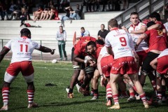 photogallery-2022-23_seriea_Romagna-RFC-Rugby-Vicenza_IMG_5334