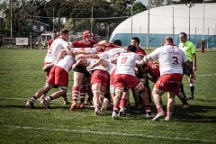 photogallery-2022-23_seriea_Romagna-RFC-Rugby-Vicenza_IMG_5342