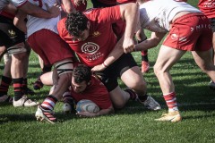 photogallery-2022-23_seriea_Romagna-RFC-Rugby-Vicenza_IMG_5382