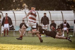 Foto di Filippo Venturi