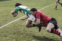 Foto di Filippo Venturi