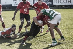 Foto di Filippo Venturi