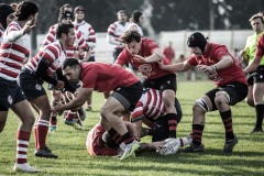 Foto di Filippo Venturi