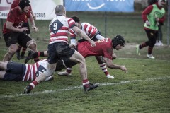 Foto di Filippo Venturi
