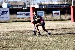 photogallery-2024-25_serie-a-femminile_Romagna-RFC-Rugby-Calvisano_MMPH1159