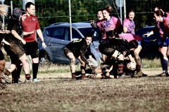 photogallery-2024-25_serie-a-femminile_Romagna-RFC-Rugby-Calvisano_MMPH1531