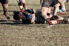 photogallery-2024-25_serie-a-femminile_Romagna-RFC-Rugby-Calvisano_MMPH2186