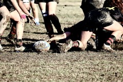 photogallery-2024-25_serie-a-femminile_Romagna-RFC-Rugby-Calvisano_MMPH2197