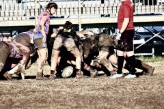 photogallery-2024-25_serie-a-femminile_Romagna-RFC-Rugby-Calvisano_MMPH2720