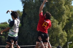 photogallery-2024-25_serie-a_Napoli-Romagna-RFC_DSC_0091