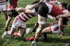 Foto di Filippo Venturi