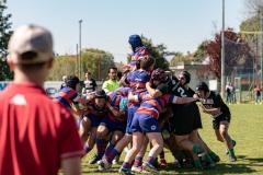 photogallery-2025-26_Cocktail-Party_DSC01223