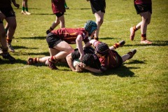 photogallery-2025-26_Cocktail-Party_IMG_8796