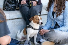 photogallery-2025-26_Cocktail-Party__DSC0750