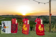 Foto di Filippo Venturi