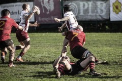 Foto di Filippo Venturi