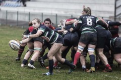 Foto di Filippo Venturi