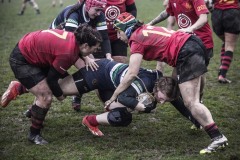 Foto di Filippo Venturi