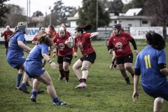 Foto di Filippo Venturi