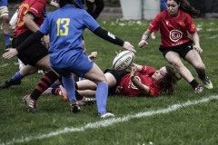 Foto di Filippo Venturi