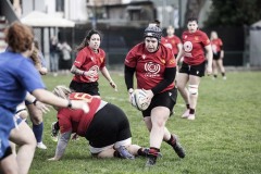 Foto di Filippo Venturi