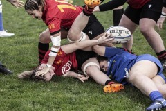 Foto di Filippo Venturi