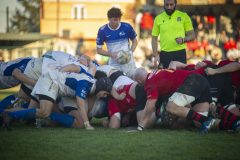 photogallery-2025-26_Romagna-RFC-Rugby-Badia_WAK_8508-scaled