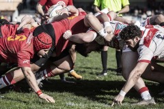 Foto di Filippo Venturi