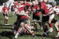 Foto di Filippo Venturi