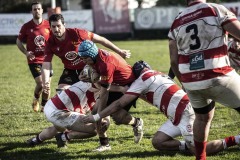 Foto di Filippo Venturi