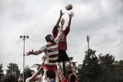 Foto di Filippo Venturi